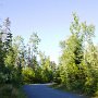 <palign=center> Parc national La Mauricie, route asphaltée du camping Rivière-à-la-Pêche. Difficile de croire qu'il y a des emplacements de camping entre les arbres.